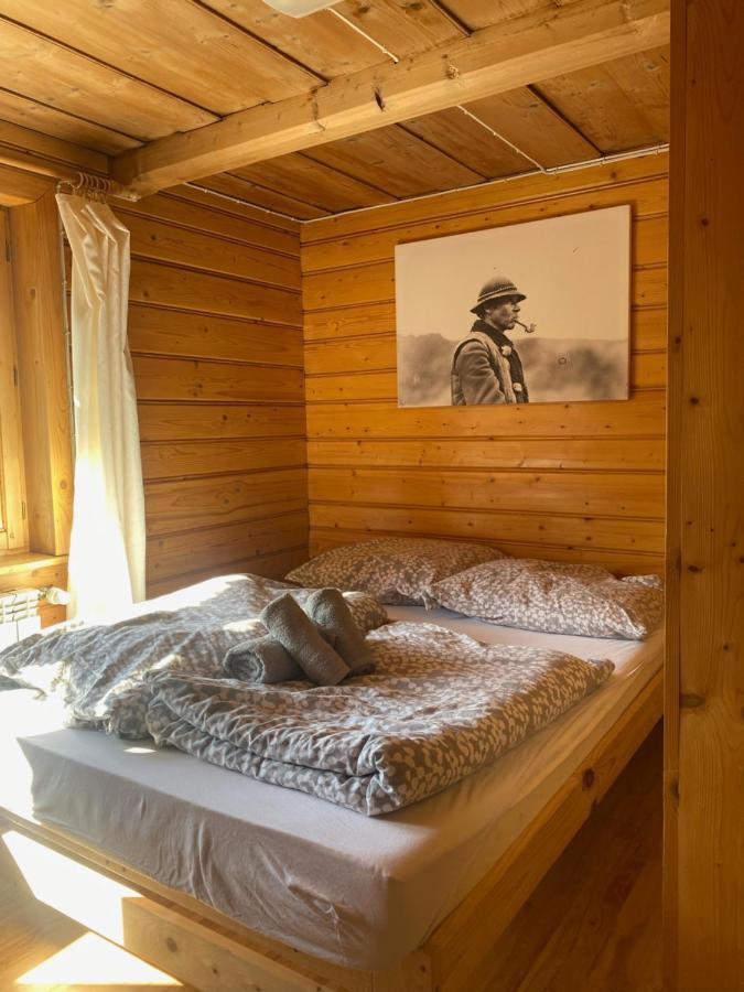 Hostel Regionalny 扎科帕内 外观 照片