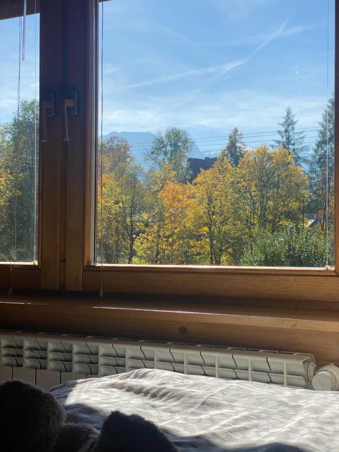 Hostel Regionalny 扎科帕内 外观 照片